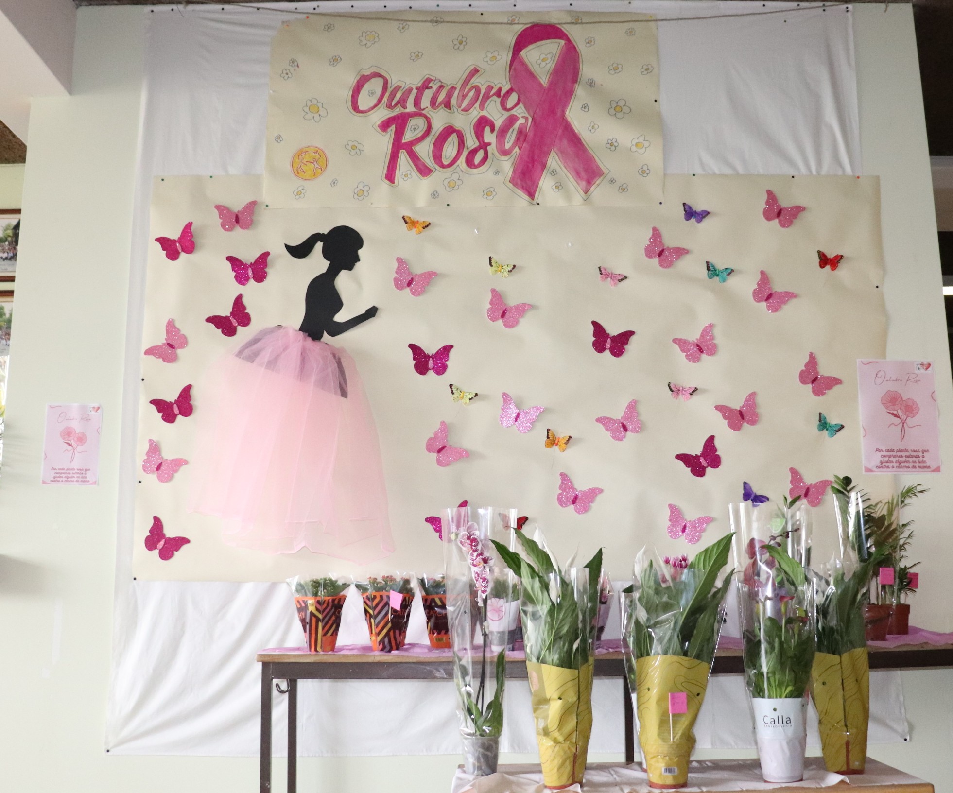 Outubro Rosa 1